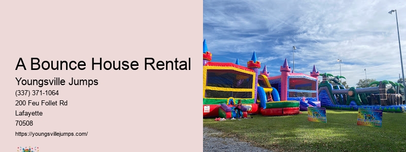 Inflatable Party Rentals